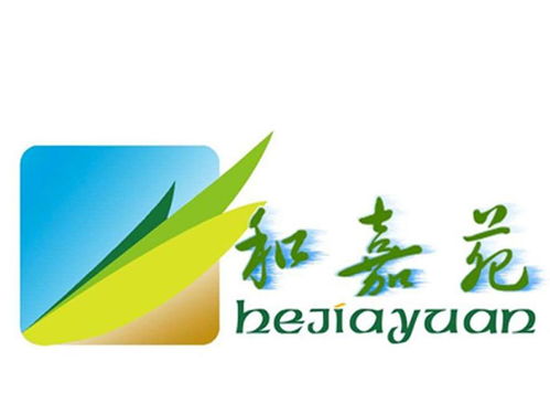 和嘉苑第29類食品商標(biāo)注冊(cè)信息與狀態(tài)查詢指南